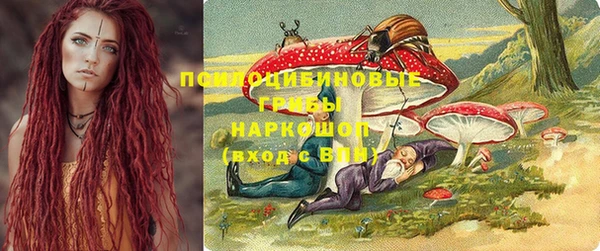 эйфоретик Алексин