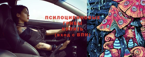 стафф Няндома