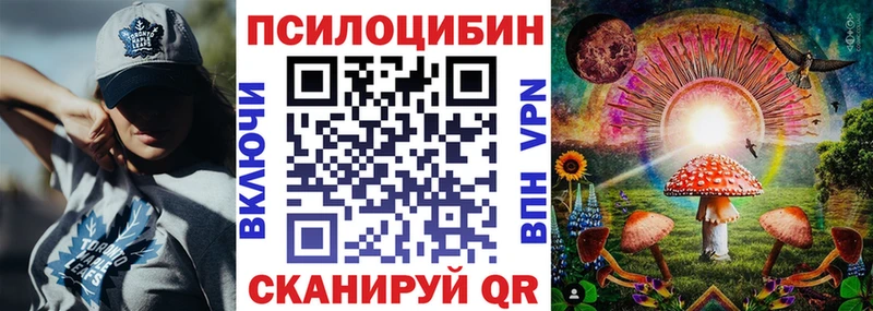 Псилоцибиновые грибы ЛСД  купить наркотики цена  мориарти состав  Тихорецк  мега сайт 